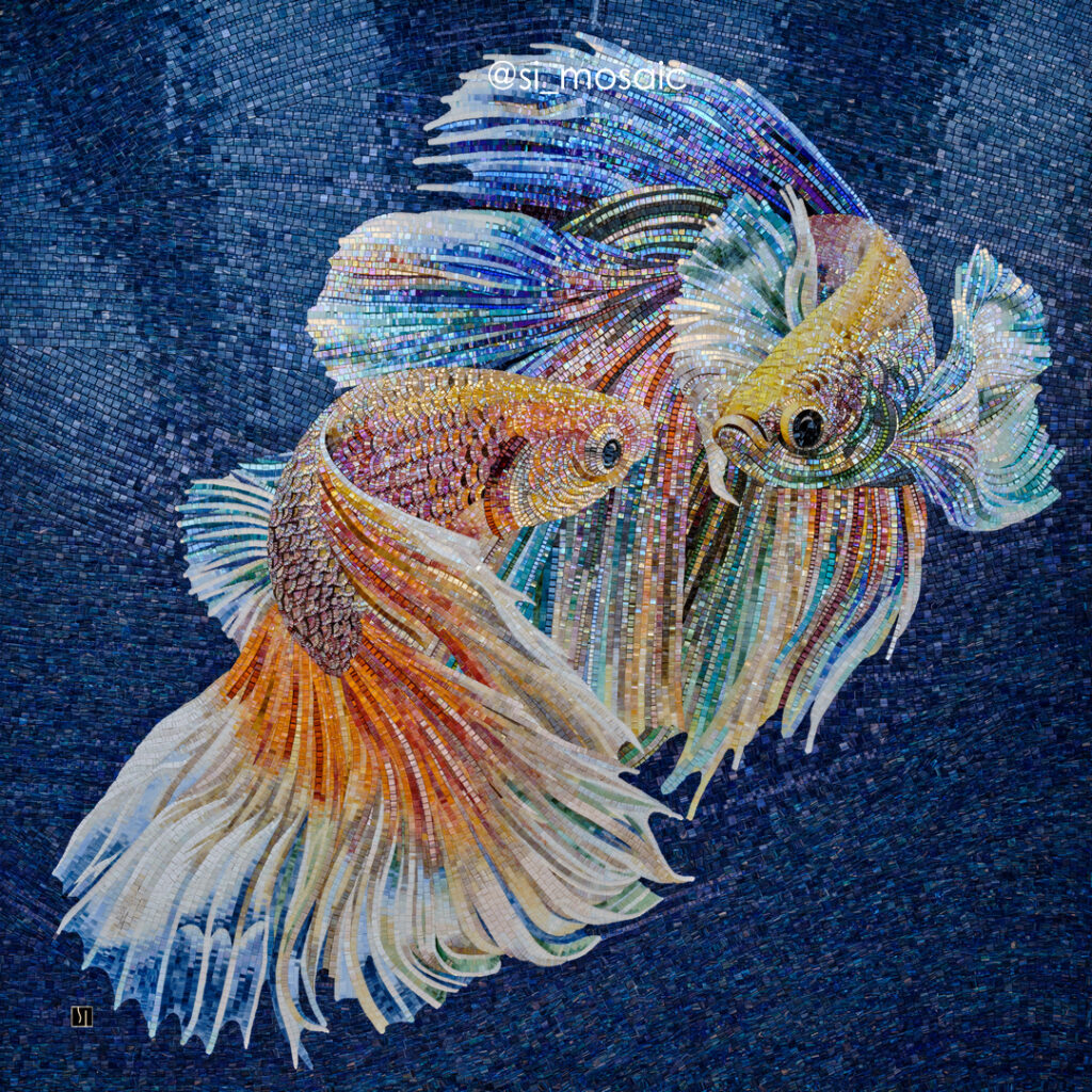 Рыбки Бетта / Betta Fish