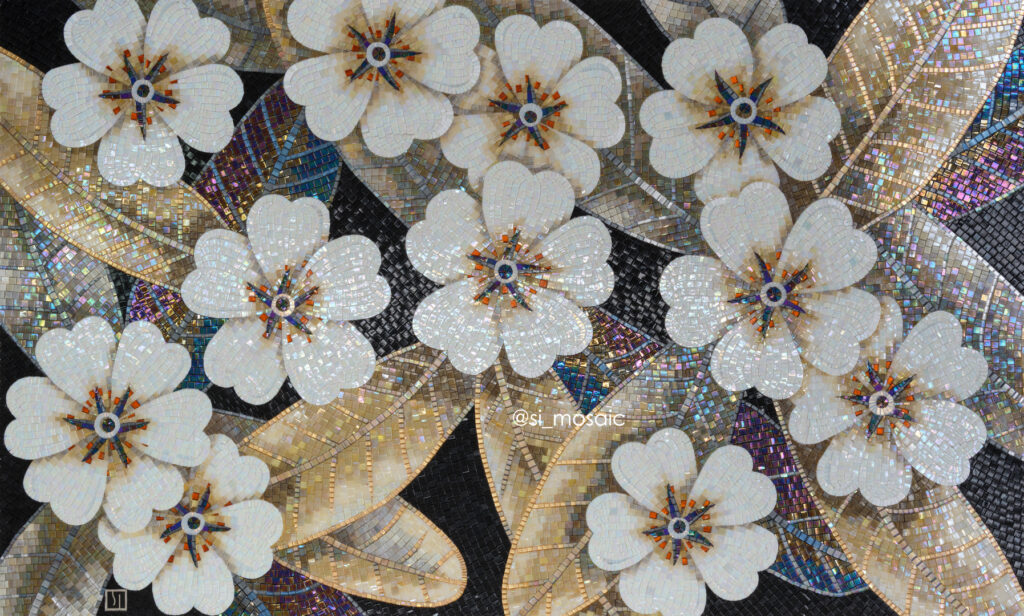 Примула / Primula