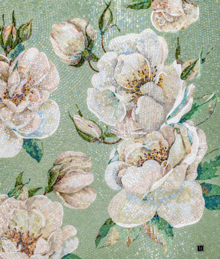 Розы / Roses
